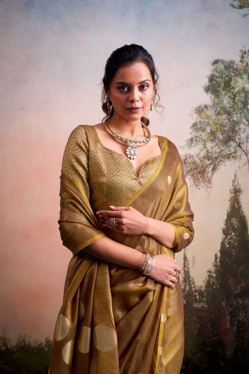 Luminous Tissue Silk with Gold Zari Motifs